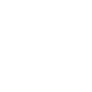 Brioni_logo_transparent_mars2021_320x320.png